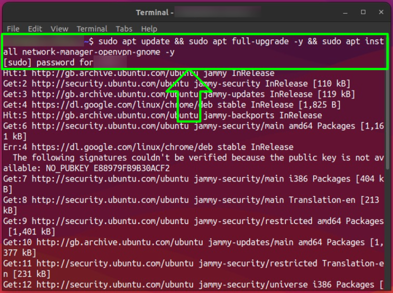 Screenshot of installing Network Manager updates on Linux
